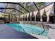 Stunning screened-in pool with spa, perfect for relaxation and enjoying backyard entertaining at 592 Deer W Run, Palm Harbor, FL 34684