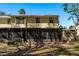 Backyard of the home with a screened-in patio, flowers, plants and palm tree at 9037 Pebble Creek Dr, Tampa, FL 33647