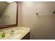 Powder room with custom vanity and well-lit mirror at 9037 Pebble Creek Dr, Tampa, FL 33647