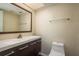 A bathroom boasts a modern vanity and a large framed mirror at 9037 Pebble Creek Dr, Tampa, FL 33647