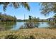 Beautiful lake view with trees and buildings in the background at 9037 Pebble Creek Dr, Tampa, FL 33647