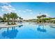 Beautiful community pool with clear, blue water, palm trees, plenty of lounge seating and shaded areas at 16969 Falling Waters Ct, Land O Lakes, FL 34638