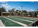 Well-kept shuffleboard courts with benches and a picnic area, offering a fun and social outdoor experience at 16969 Falling Waters Ct, Land O Lakes, FL 34638