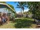 A spacious backyard features a tall palm tree and a well-maintained lawn, perfect for outdoor activities at 1721 Sutton Pl, Dunedin, FL 34698