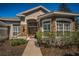 Close-up of the beautiful front door with glass inserts and stone accents surrounding it at 19719 Prince Benjamin Dr, Lutz, FL 33549