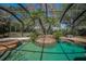 The screened-in pool showcases a rock feature, spa, and lush tropical landscaping, perfect for relaxation at 19719 Prince Benjamin Dr, Lutz, FL 33549