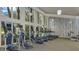 Bright fitness center with treadmills, elliptical machines, and stationary bikes for residents' health and wellness at 5728 Skytop Dr, Lithia, FL 33547