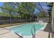 Large screened-in pool area with crystal-clear water, concrete deck, secure fencing, and lush greenery at 8329 Broken Willow Ln, Port Richey, FL 34668