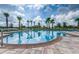 Community swimming pool surrounded by palm trees at 10105 Paradise Fish Dr, Riverview, FL 33578