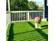 Artificial turf on porch creates a low-maintenance and inviting outdoor living space at 2005 Jackson N St, St Petersburg, FL 33704