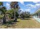 Spacious backyard features a grassy area, palm trees, and direct water access at 311 Ravenna N St, Nokomis, FL 34275