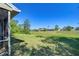 Expansive backyard view showing the lush green grass and the privacy that the landscaping provides at 34907 Double Eagle Ct, Zephyrhills, FL 33541