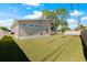 Backyard with lush lawn, new fence and young trees under a bright blue sky at 3860 Whiting Se Dr, St Petersburg, FL 33705