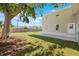 A well maintained backyard with lush green grass and new fence at 3860 Whiting Se Dr, St Petersburg, FL 33705