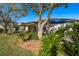 Green backyard with patio, lush landscaping, and water view on a bright day at 412 Pinewood Dr, Oldsmar, FL 34677