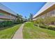 A well-maintained courtyard with green grass, walkways, and manicured landscaping between buildings at 10038 62Nd N Ter # 21, St Petersburg, FL 33708