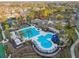 Stunning aerial view of a community pool with lush landscaping, palm trees, and ample lounge seating at 14605 Chatsworth Manor Cir, Tampa, FL 33626