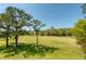 Expansive grassy backyard with mature trees offering shade and privacy, perfect for outdoor activities and enjoyment at 15618 Shoal Creek Pl, Odessa, FL 33556
