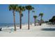 Sandy beach featuring palm trees, blue skies, and people relaxing, conveying a peaceful coastal lifestyle at 2958 Macalpin N Dr, Palm Harbor, FL 34684