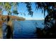 Picturesque view of a serene lake framed by lush greenery and moss-draped trees at 2958 Macalpin N Dr, Palm Harbor, FL 34684
