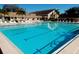Resort-style swimming pool with blue water, lounge chairs, and umbrellas for relaxing outdoors at 2958 Macalpin N Dr, Palm Harbor, FL 34684