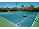 Well-maintained community tennis court, ready for a match at 2958 Macalpin N Dr, Palm Harbor, FL 34684