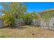 Landscaped backyard with mature palm trees, privacy fence, and lush foliage creating a tranquil outdoor space at 3822 W Euclid Ave, Tampa, FL 33629