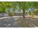 Well-manicured single story home with ample parking, framed by a large shade tree at 3822 W Euclid Ave, Tampa, FL 33629