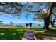 Expansive backyard with lush lawn, mature trees, and bay views, perfect for outdoor entertaining at 800 Druid S Rd, Clearwater, FL 33756