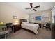 Cozy bedroom with a ceiling fan, neutral-toned walls, and two large windows at 13208 San Blas Loop, Largo, FL 33774
