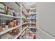 Walk-in pantry with ample shelving, providing convenient storage for food and household items at 17152 Scuba Crest St, Wimauma, FL 33598