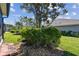 Landscaped backyard featuring mature trees and green grass at 31820 Blythewood Way, Wesley Chapel, FL 33543