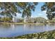 Scenic view of a serene lake with a fountain, surrounded by lush trees and well-maintained landscaping at 3310 Haviland Ct # 202, Palm Harbor, FL 34684