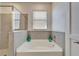 Bathroom featuring a separate soaking tub under a large window at 33298 Major Oak Dr, Wesley Chapel, FL 33545