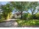 Charming home with a mature tree in the front yard, a well-manicured lawn, and lush landscaping at 409 Erie Ave, Tampa, FL 33606