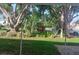 Lush landscaping with mature trees and vibrant plants creating a serene outdoor space at 46 Washington Ct # 28, Palm Harbor, FL 34684
