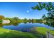 Picturesque lake view surrounded by lush greenery and beautiful landscaping, creating a tranquil setting at 1163 60Th S Ave, St Petersburg, FL 33705