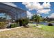 Backyard view of enclosed pool area, lush landscaping, and a lake at 1308 Crystal Greens Dr, Sun City Center, FL 33573