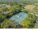 Aerial view of community tennis courts, showcasing a recreational amenity surrounded by trees and greenery at 3425 Lacewood Rd, Tampa, FL 33618