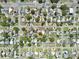 Overhead shot of the property's location in a well-planned neighborhood, close to 40th Ave at 619 41St Ne Ave, St Petersburg, FL 33703