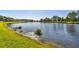 Scenic view of a serene pond surrounded by lush greenery, offering tranquility at 19432 Whispering Brook Dr, Tampa, FL 33647