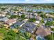 This aerial view showcases the community's layout with houses, mature trees, and water features at 22647 Eagles Watch Dr, Land O Lakes, FL 34639