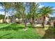 A lush backyard with palm trees and a screened-in porch offers a private outdoor retreat at 22647 Eagles Watch Dr, Land O Lakes, FL 34639