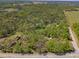 Expansive aerial view showcasing the property's wooded acreage and secluded pond location at 26290 Hayman Rd, Brooksville, FL 34602