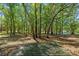 A backyard pier sits under the shade of mature trees with a pond in the background at 26290 Hayman Rd, Brooksville, FL 34602