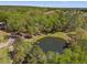 A picturesque pond nestled within a vibrant green landscape, perfect for nature lovers at 26290 Hayman Rd, Brooksville, FL 34602