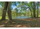 A tranquil pond is surrounded by lush trees and foliage, providing a serene view at 26290 Hayman Rd, Brooksville, FL 34602