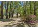 Mature trees adorn the property and surround the home, which can be seen from the tree-lined driveway at 26290 Hayman Rd, Brooksville, FL 34602