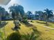 Scenic view of the community featuring lush lawns, mature palms, and well-maintained pathways under a sunny sky at 3100 Hartford N St # 221, St Petersburg, FL 33713