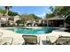 Community pool with ample seating and surrounding shade trees at 4133 Bismarck Palm Dr, Tampa, FL 33610